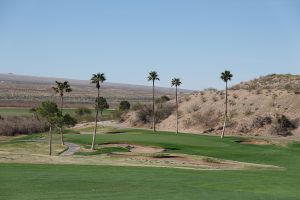Palms 10th Approach